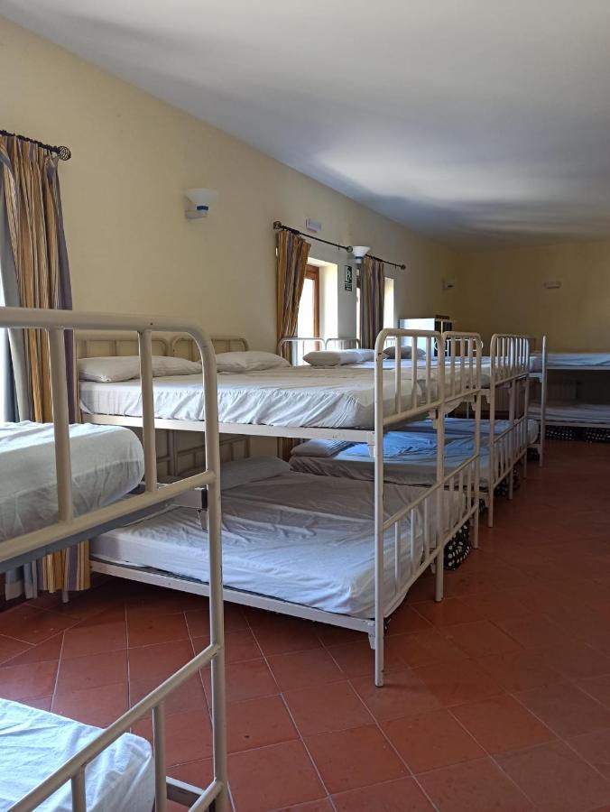 Albergue De Sos del Rey Católico Eksteriør billede