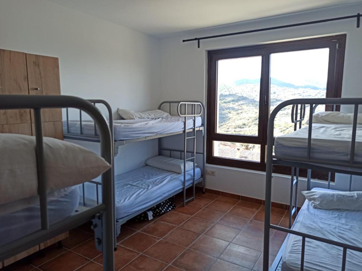 Albergue De Sos del Rey Católico Eksteriør billede